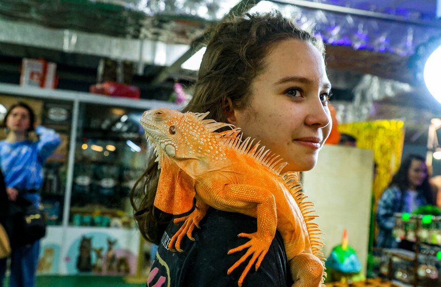 Выставка экзотических животных "ТерраМания" прошла в Москве 18 фото