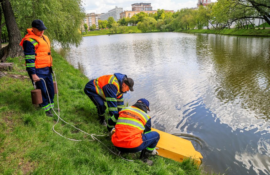 На водоемах Москвы установили плавучие домики для уток 8 фото