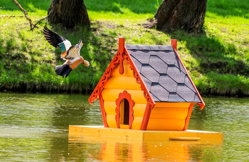 На водоемах Москвы установили плавучие домики для уток 18 фото