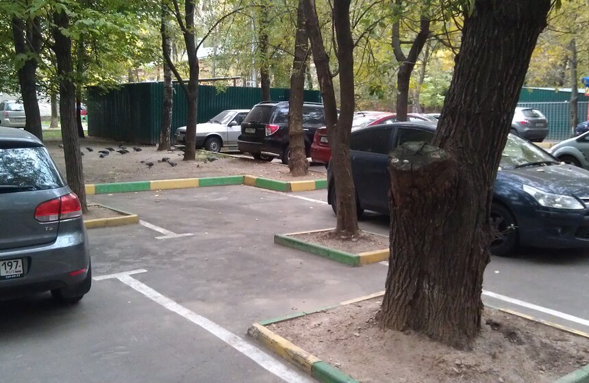 Университетский проспект, дом 23<br />Фото: Павел Петров