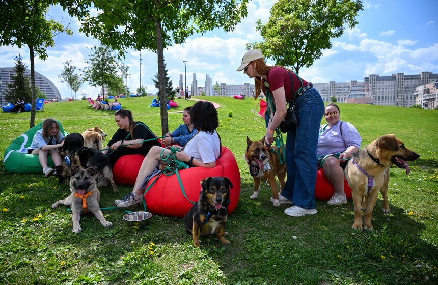 Первый день фестиваля "Лапки" завершился в Москве 1 фото