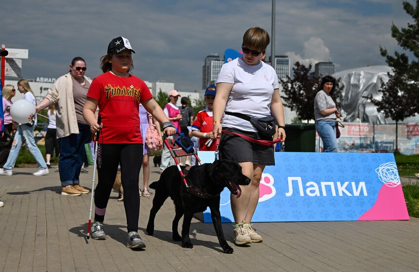 Первый день фестиваля "Лапки" завершился в Москве 24 фото