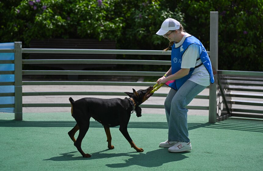 Первый день фестиваля "Лапки" завершился в Москве 21 фото