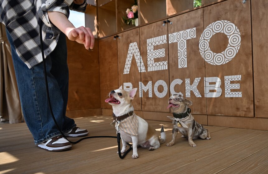 Первый день фестиваля "Лапки" завершился в Москве 23 фото