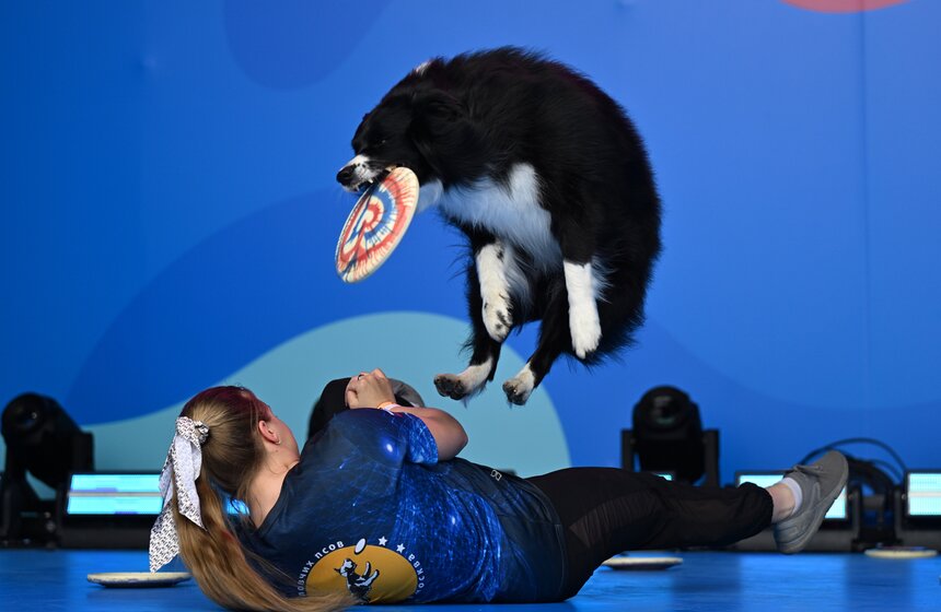 Первый день фестиваля "Лапки" завершился в Москве 12 фото