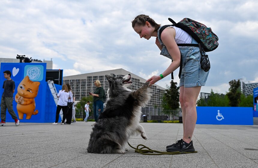 Первый день фестиваля "Лапки" завершился в Москве 7 фото