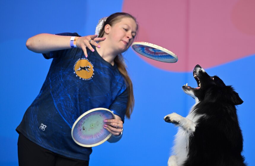 Первый день фестиваля "Лапки" завершился в Москве 10 фото