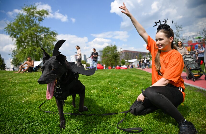 Первый день фестиваля "Лапки" завершился в Москве 4 фото