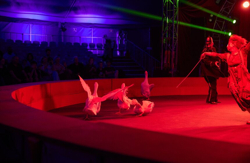 Цирк шапито открылся в кинопарке "Москино" 10 фото