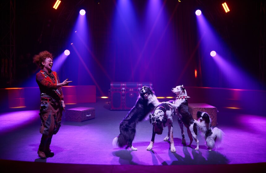 Цирк шапито открылся в кинопарке "Москино" 20 фото