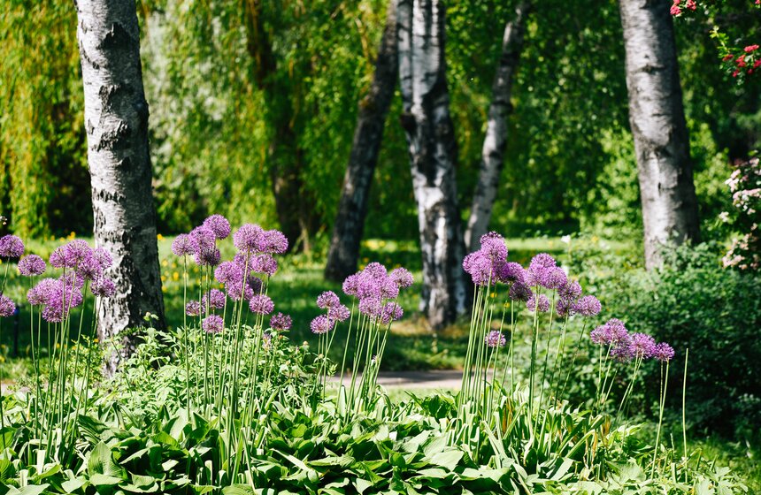 29 мая стал самым теплым днем в Москве с начала года 2 фото