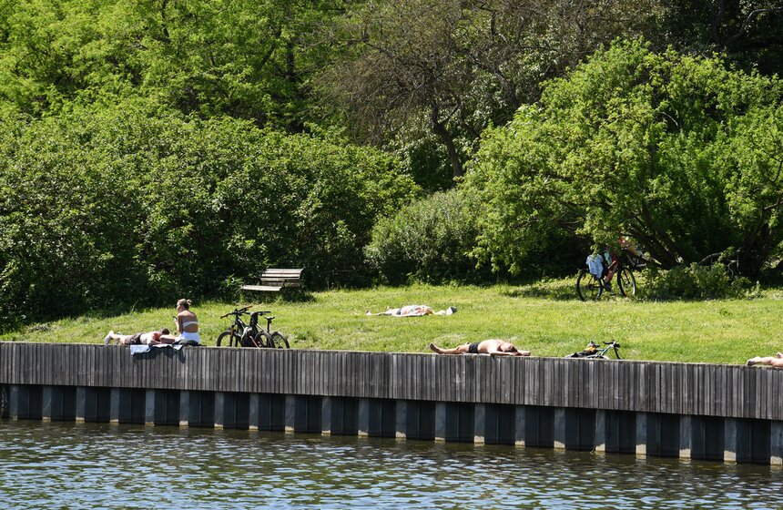 29 мая стал самым теплым днем в Москве с начала года 5 фото