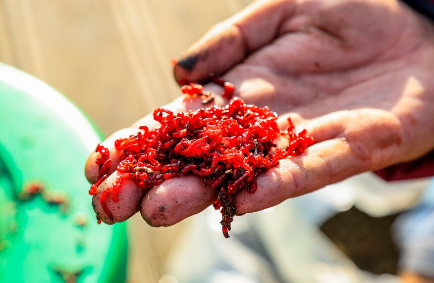 Чемпионат по рыбной ловле стартовал на фестивале "Москва – на волне. Рыбная неделя" 6 фото