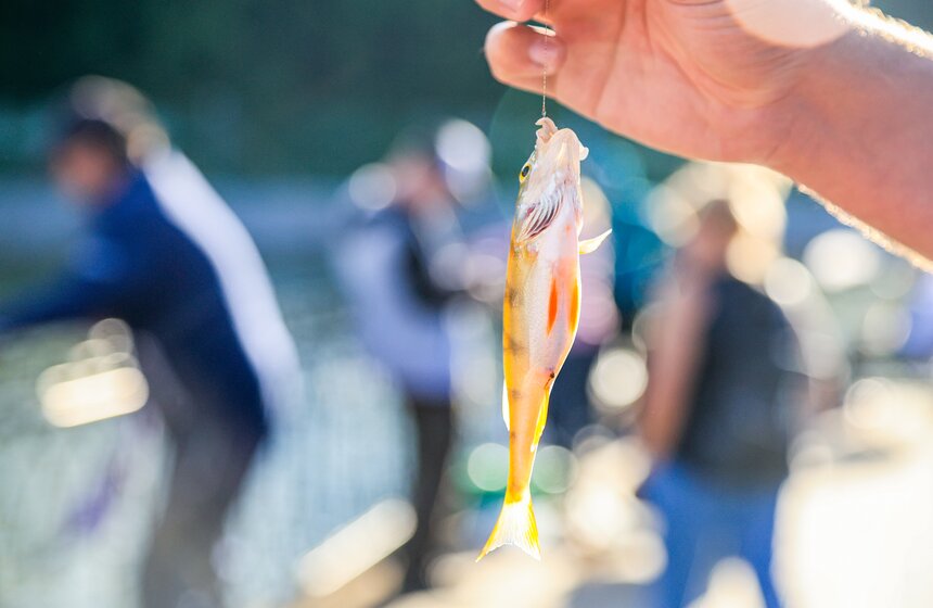 Чемпионат по рыбной ловле стартовал на фестивале "Москва – на волне. Рыбная неделя" 15 фото