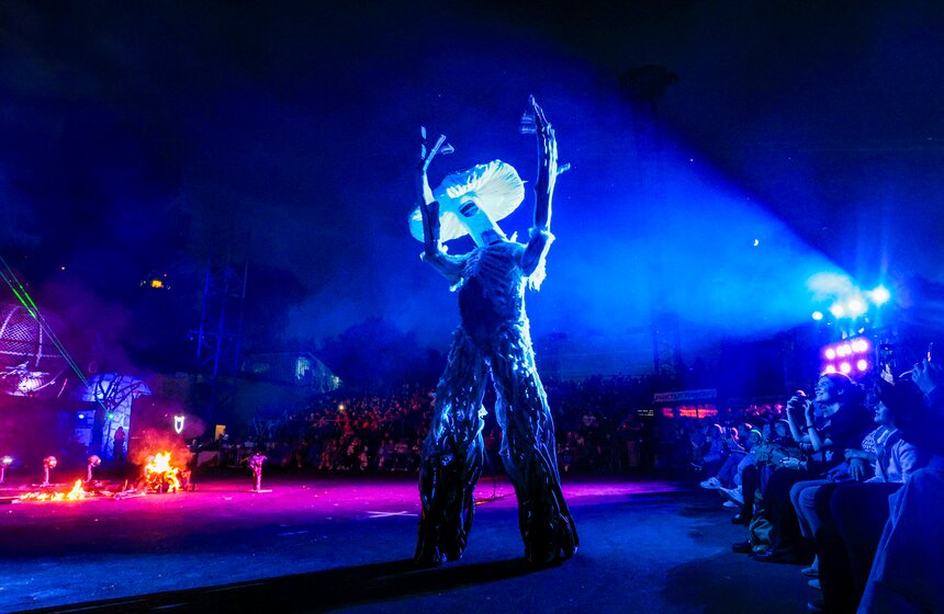 В Москве прошел "Вселенский карнавал огня" 27 фото