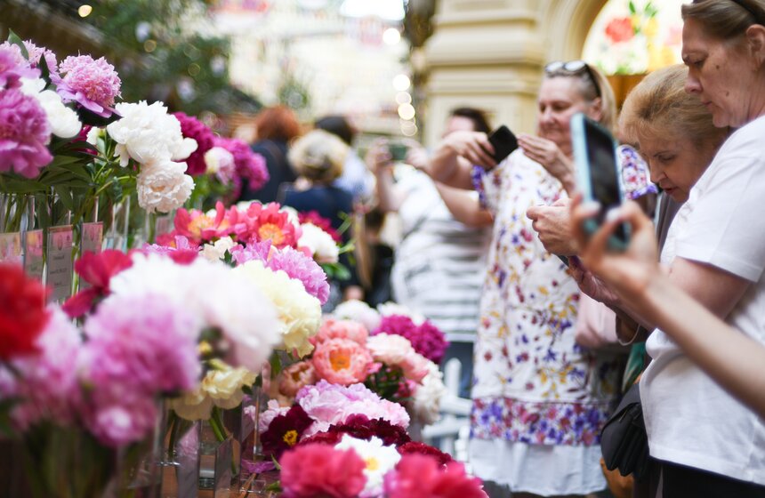 Выставка "Пионы России" стартовала в Москве 16 фото
