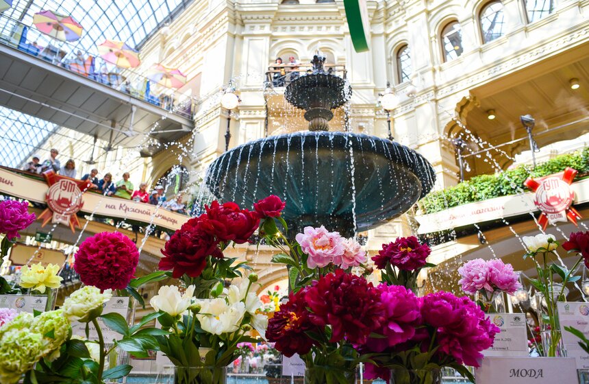 Выставка "Пионы России" стартовала в Москве 18 фото
