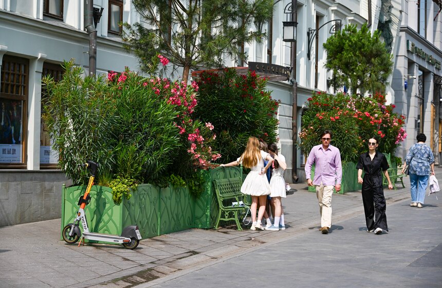 Новые площадки фестиваля "Сады и цветы" открылись в Москве 17 фото