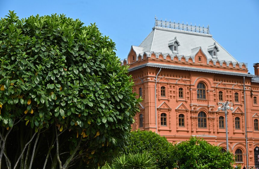 Новые площадки фестиваля "Сады и цветы" открылись в Москве 23 фото