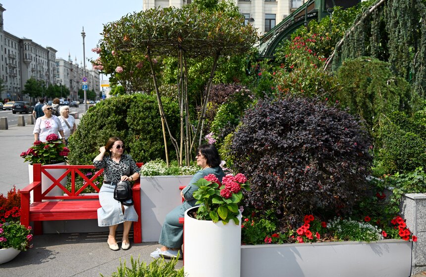 Новые площадки фестиваля "Сады и цветы" открылись в Москве 11 фото