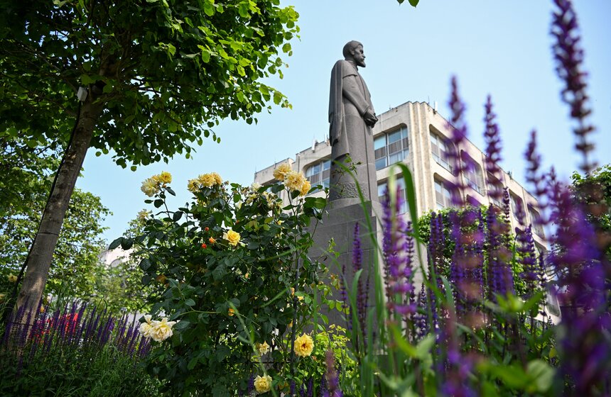 Новые площадки фестиваля "Сады и цветы" открылись в Москве 4 фото