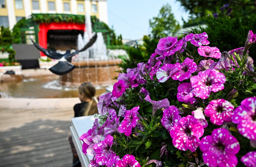 Новые площадки фестиваля "Сады и цветы" открылись в Москве 14 фото