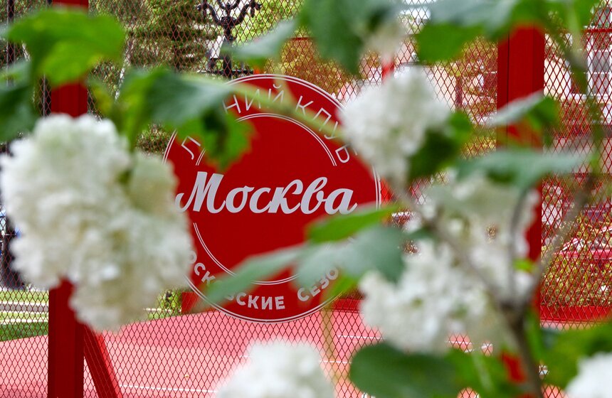 Новые площадки фестиваля "Сады и цветы" открылись в Москве 6 фото