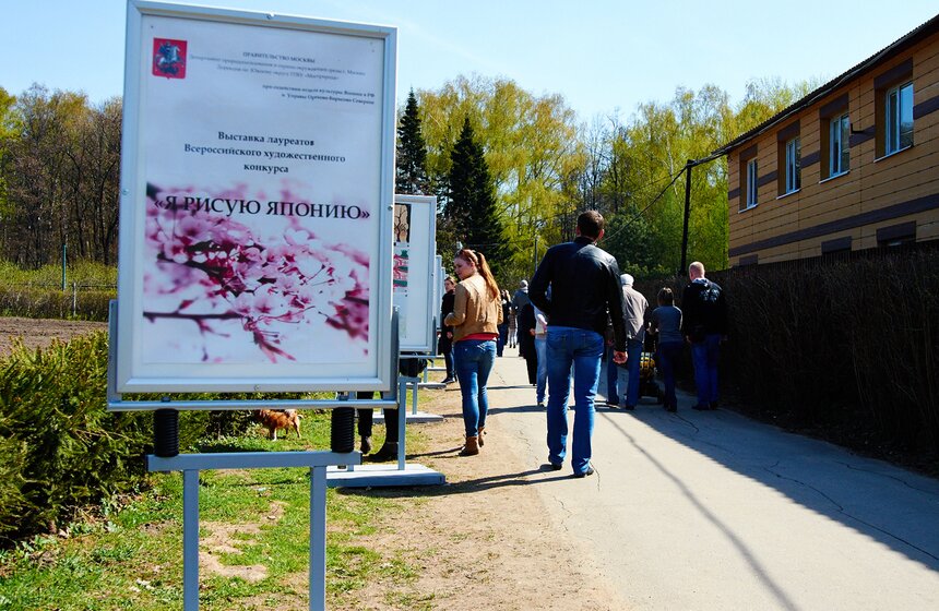 В Бирюлевском дендропарке расцвела сакура 3 фото