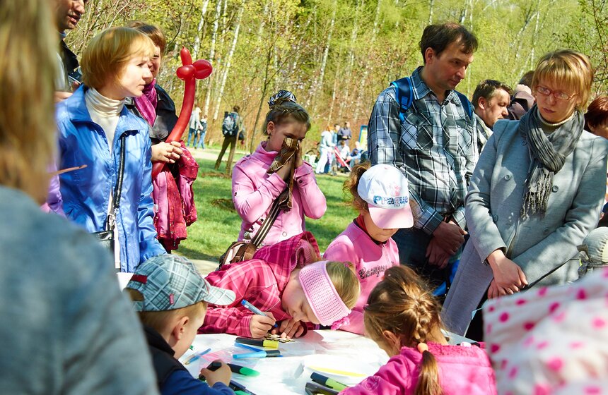 В Бирюлевском дендропарке расцвела сакура 17 фото
