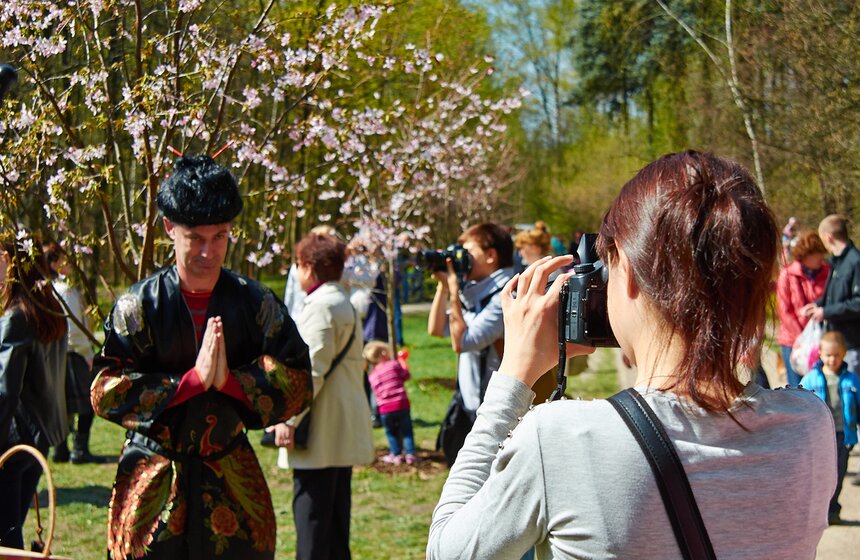 В Бирюлевском дендропарке расцвела сакура 14 фото
