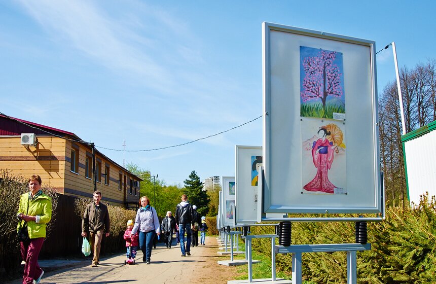 В Бирюлевском дендропарке расцвела сакура 1 фото