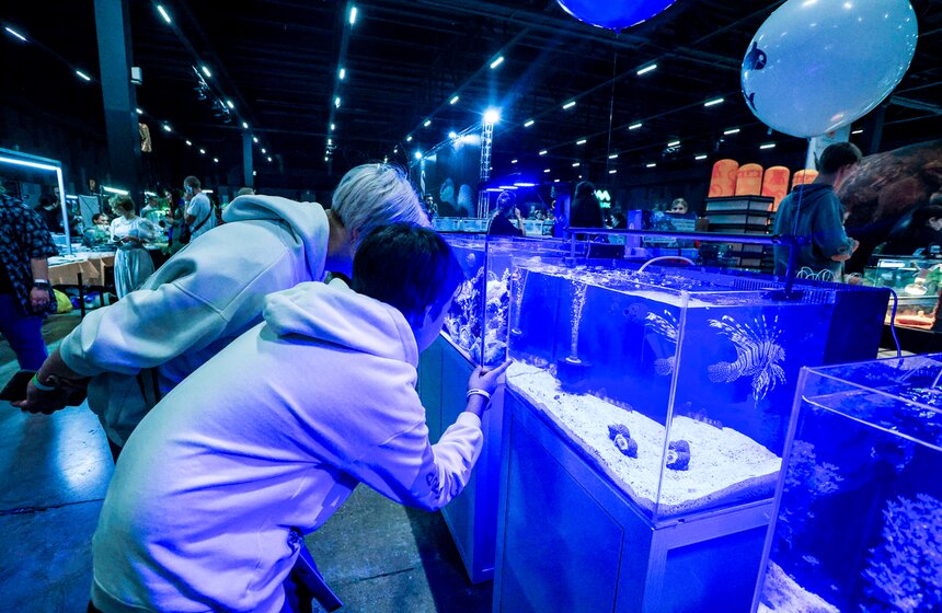 В Москве прошла выставка-продажа террариумных животных и оборудования "Рептилиум" 23 фото