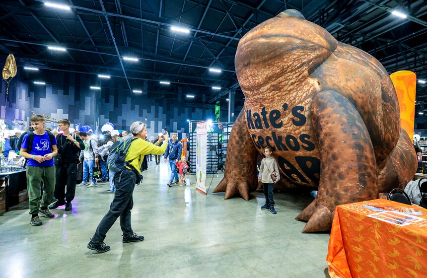 В Москве прошла выставка-продажа террариумных животных и оборудования "Рептилиум" 22 фото