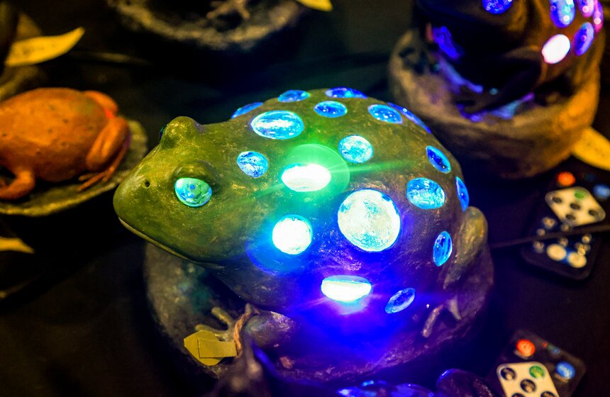 В Москве прошла выставка-продажа террариумных животных и оборудования "Рептилиум" 20 фото