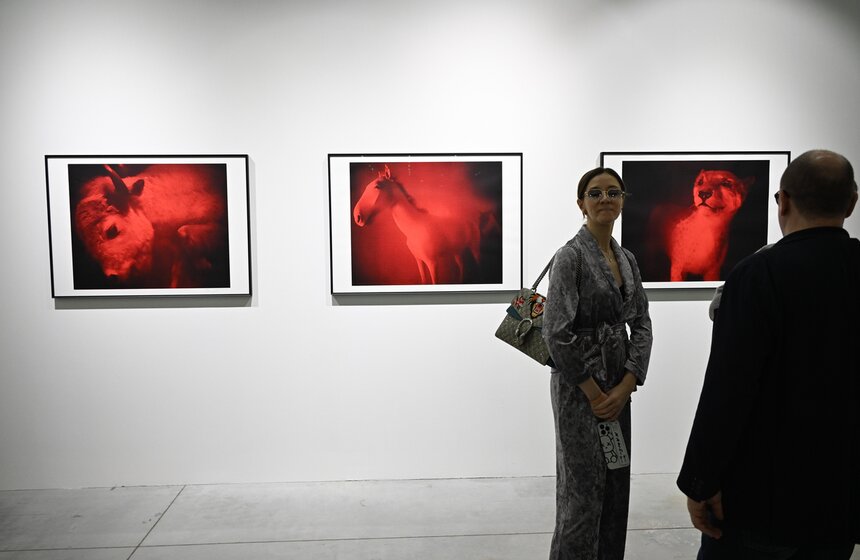 Ярмарка современного искусства Cosmoscow прошла в "Тимирязев центре" 10 фото