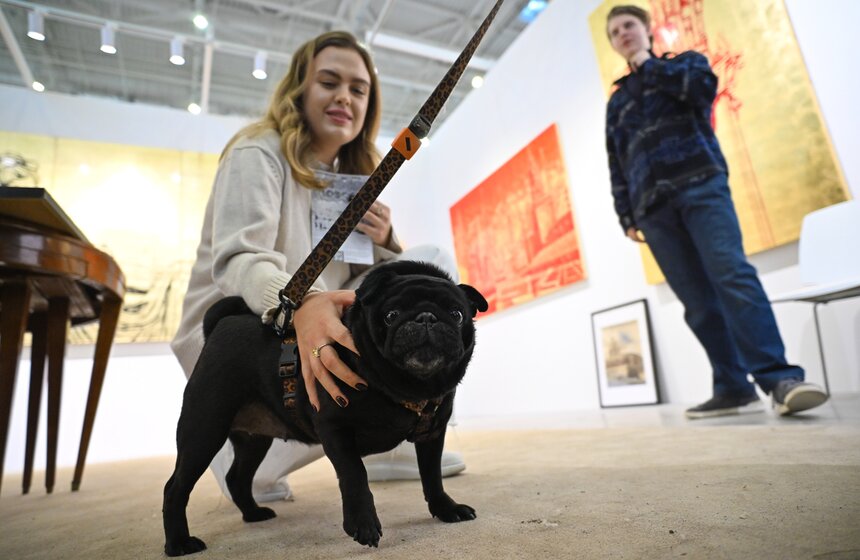 Ярмарка современного искусства Cosmoscow прошла в "Тимирязев центре" 21 фото