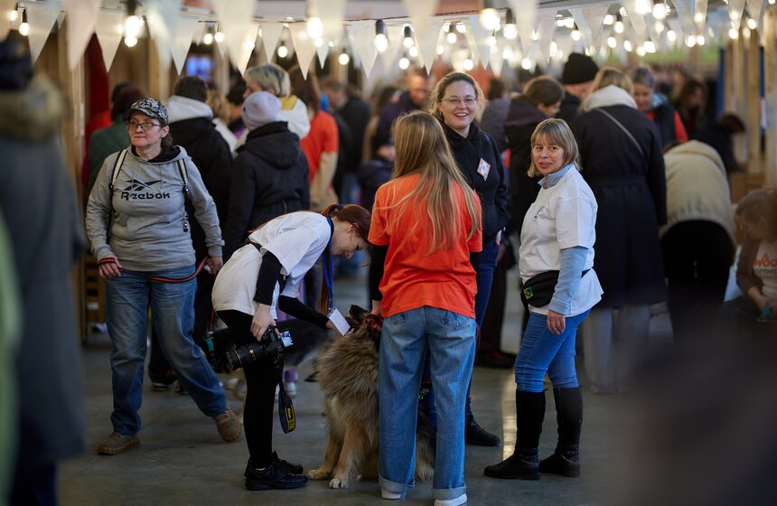 Фестиваль бездомных животных WOOF состоялся в центре "Хлебозавод №9" 1 фото