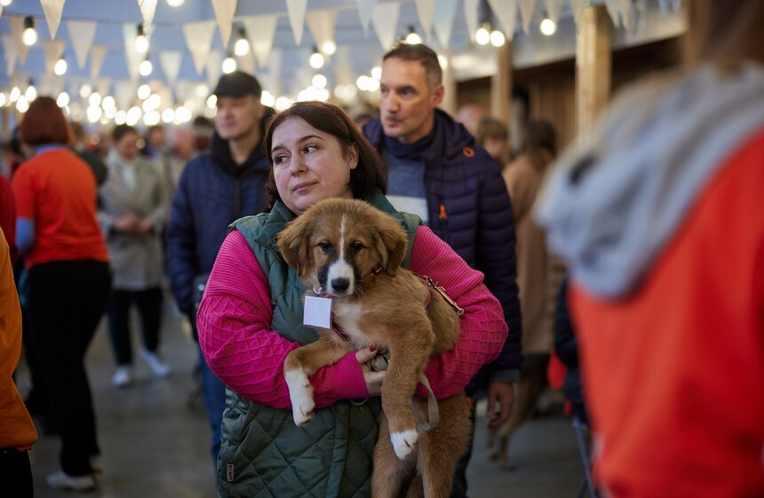 Фестиваль бездомных животных WOOF состоялся в центре "Хлебозавод №9" 16 фото