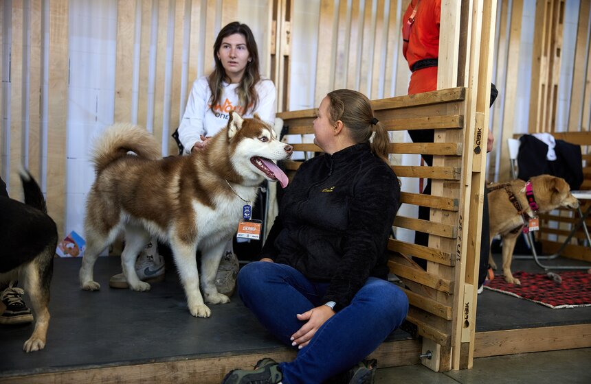 Фестиваль бездомных животных WOOF состоялся в центре "Хлебозавод №9" 17 фото