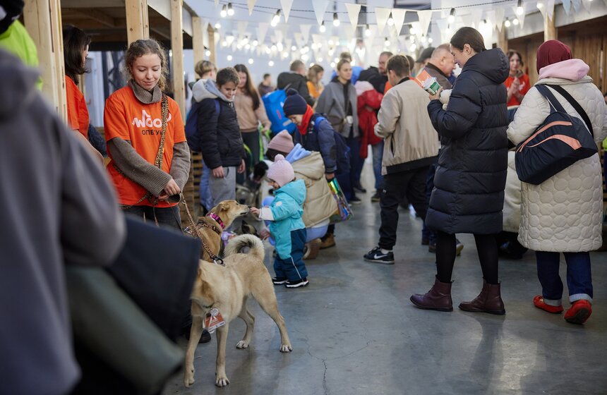 Фестиваль бездомных животных WOOF состоялся в центре "Хлебозавод №9" 14 фото