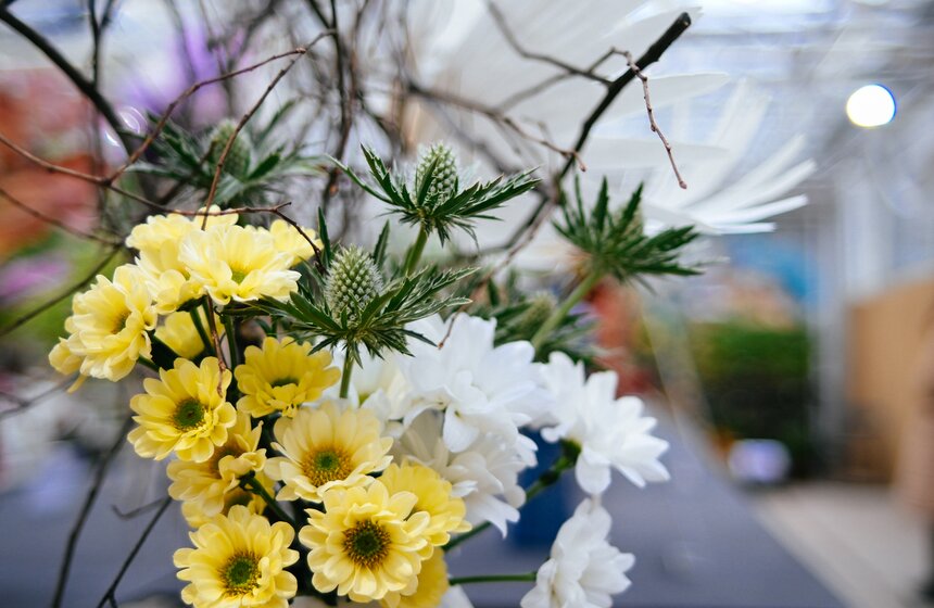 Выставка икебаны "Акценты осени" проходит в Москве 4 фото