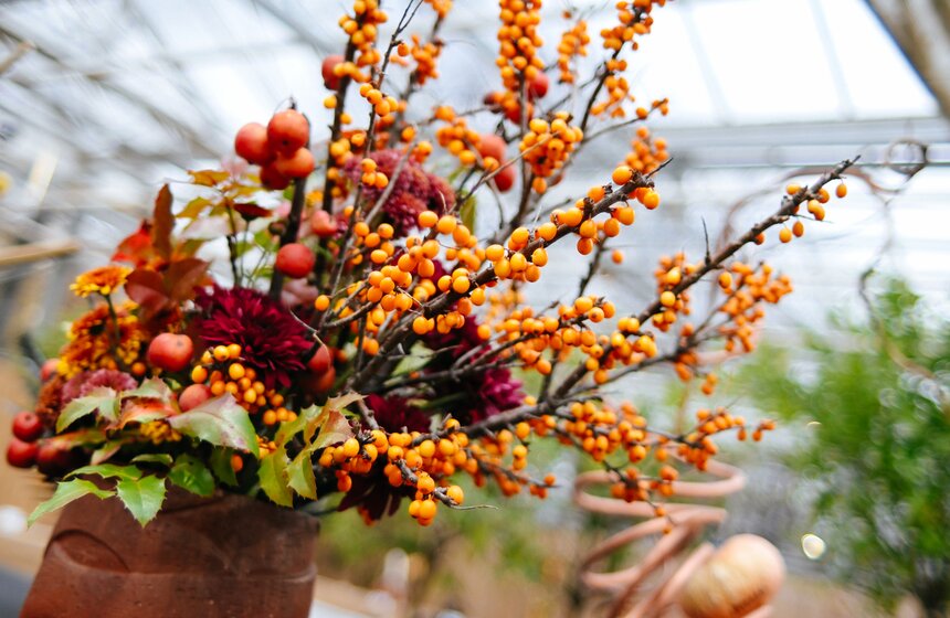 Выставка икебаны "Акценты осени" проходит в Москве 8 фото