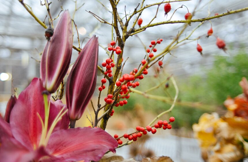 Выставка икебаны "Акценты осени" проходит в Москве 15 фото