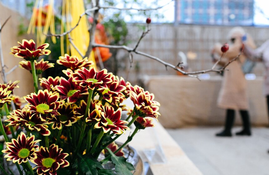 Выставка икебаны "Акценты осени" проходит в Москве 17 фото