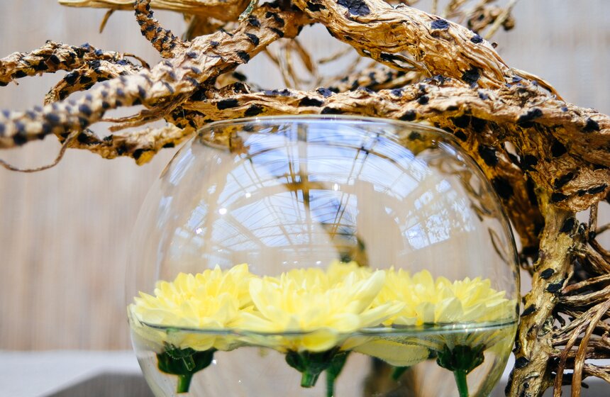 Выставка икебаны "Акценты осени" проходит в Москве 16 фото