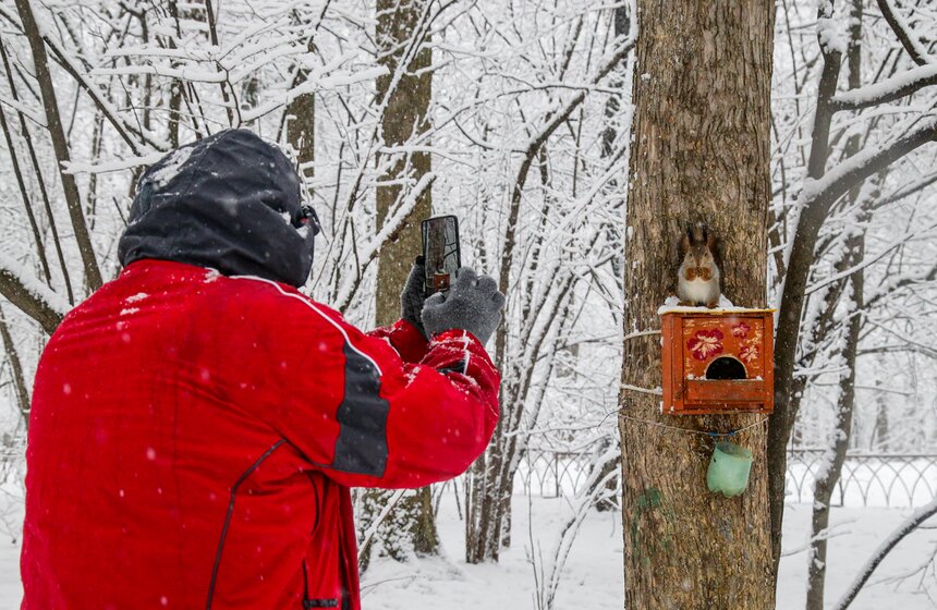 Снегопад накрыл Москву 31 декабря 8 фото