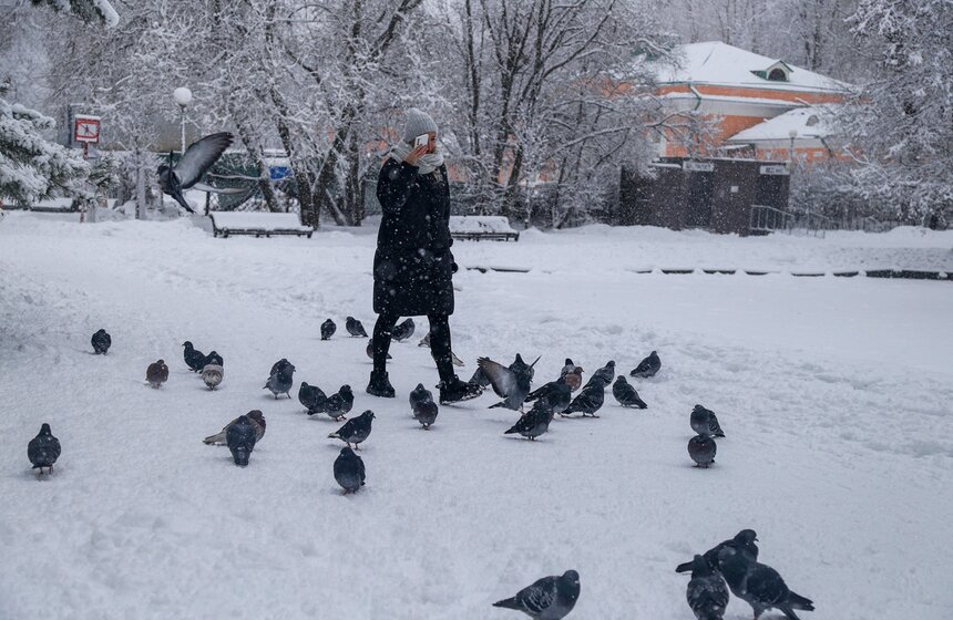 Снегопад накрыл Москву 31 декабря 16 фото