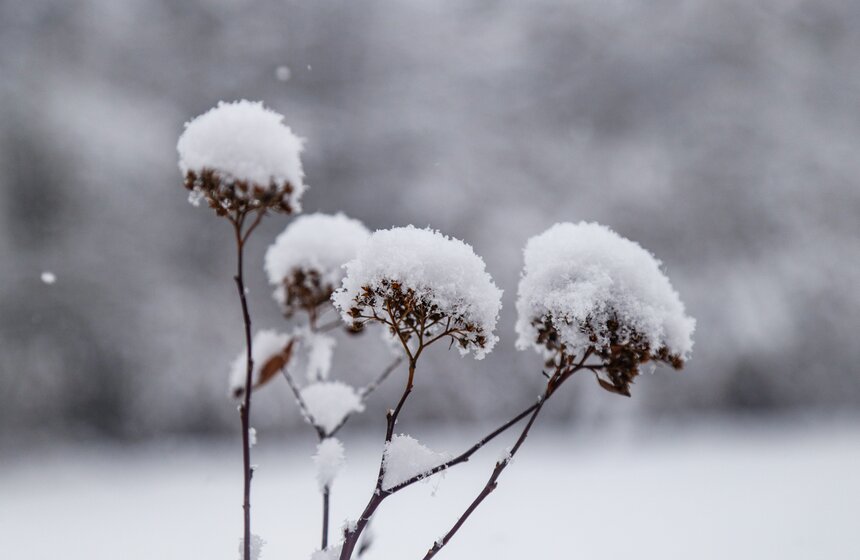 Снегопад накрыл Москву 31 декабря 12 фото