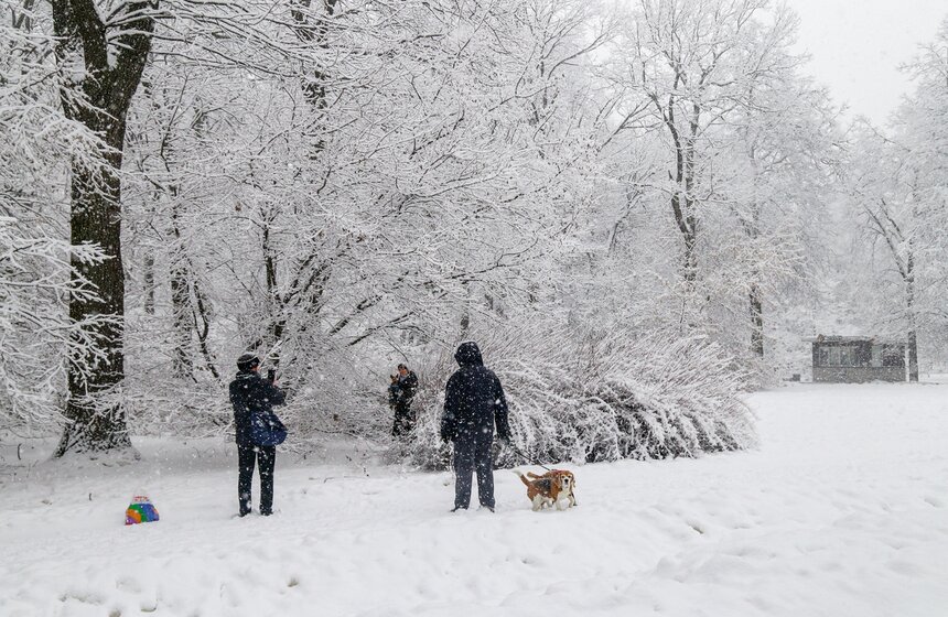 Снегопад накрыл Москву 31 декабря 6 фото