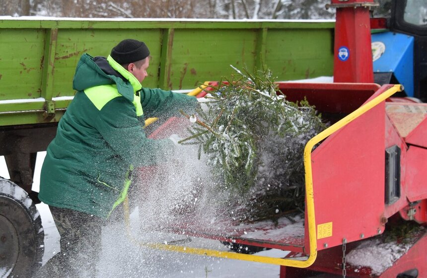 <a href="https://www.m24.ru/galleries/ehkologiya/12012024/656490" target="_blank">В Москве начали работать 600 пунктов в рамках акции "Елочный круговорот"</a>